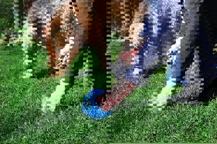 imagen-cuerpo imagen-cuerpo