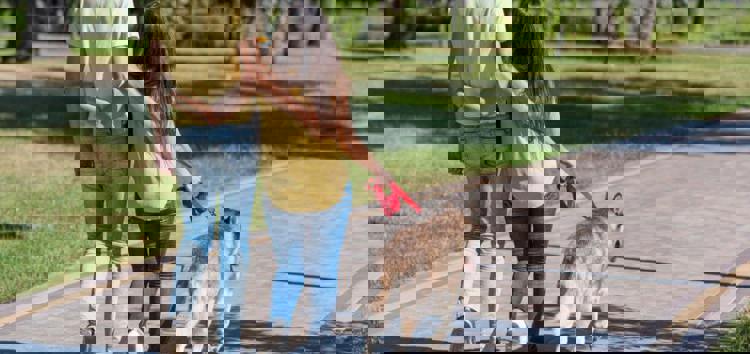 imagen-cuerpo imagen-cuerpo