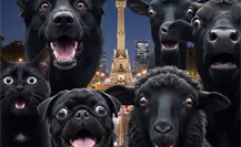 Día de Muertos en CDMX: detrás de la tradición persiste la venta ilegal de animales para rituales Día de Muertos en CDMX: detrás de la tradición persiste la venta ilegal de animales para rituales