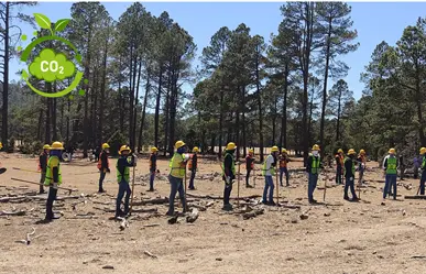 ¿Dónde está San Diego de Tezains, el ejido que es modelo en el aprovechamiento de bonos de carbono?