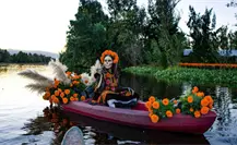 Cempasúchil sustentable en Edomex: así se cultivan las flores que adornarán las ofrendas