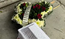 Fundadora de refugio recibe amenazas luego de exponer desaparición de perros en Edomex