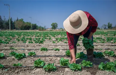 Agricultores y Gobernación inician diálogo para llegar acuerdo y evitar paro nacional