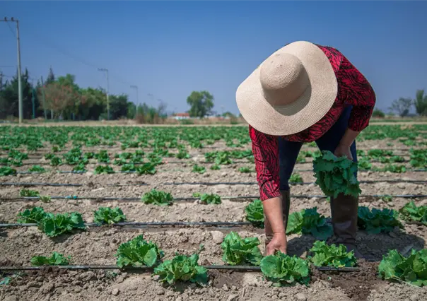 Agricultores y Gobernación inician diálogo para llegar acuerdo y evitar paro nacional