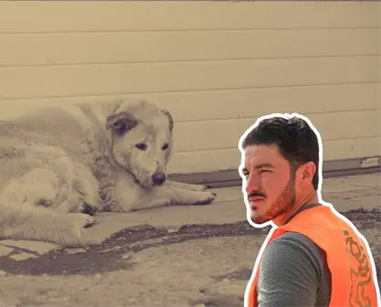 Samuel García exige todo el peso de la ley contra quienes dieron whisky a un perro en Aramberri, Nuevo León