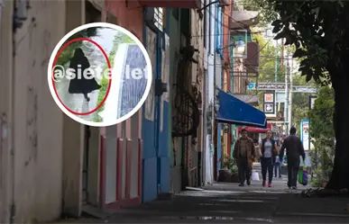 Amanda Castro: esto se sabe sobre la mujer asesinada por hombre con túnica negra en la Cuauhtémoc