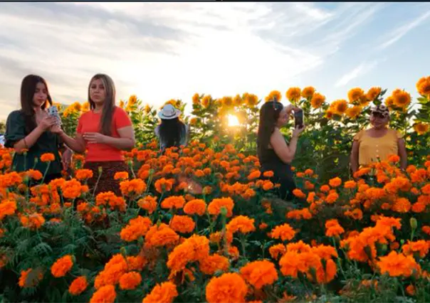 FOTOS | Cómo se vivió el segundo Festival del Cempasúchil en La Paz