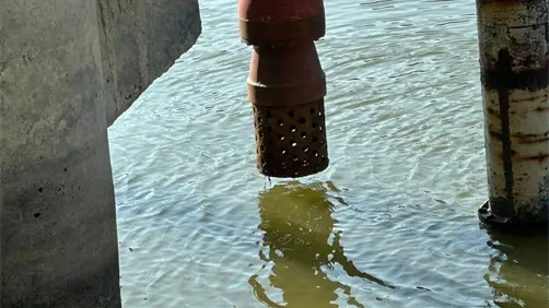 Comapa Río Bravo explica porqué están sin agua en la red municipal