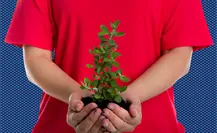 Monterrey invita a su 11ª edición de “Adopta un Árbol”: ¿cuáles los requisitos?