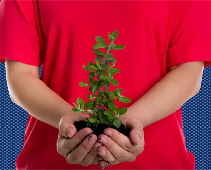 Monterrey invita a su 11ª edición de "Adopta un Árbol": ¿cuáles los requisitos?