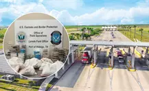 Incautan 163 reptiles y artrópodos ocultos en camioneta que viajaba de Texas hacia Tamaulipas Incautan 163 reptiles y artrópodos ocultos en camioneta que viajaba de Texas hacia Tamaulipas