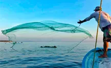 Seguro de vida de 100 mil pesos para pescadores en BCS: requisitos para inscribirte