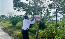 Profepa clausura obras de proyecto inmobiliario en Mérida por cambio de uso de suelo ilegal Profepa clausura obras de proyecto inmobiliario en Mérida por cambio de uso de suelo ilegal