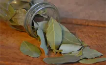 Ritual de laurel para tener bienestar emocional todo el mes de noviembre