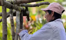 Casitas mayas en Mérida: tradición del Janal Pixán que honra a los difuntos con altares y arquitectura ancestral