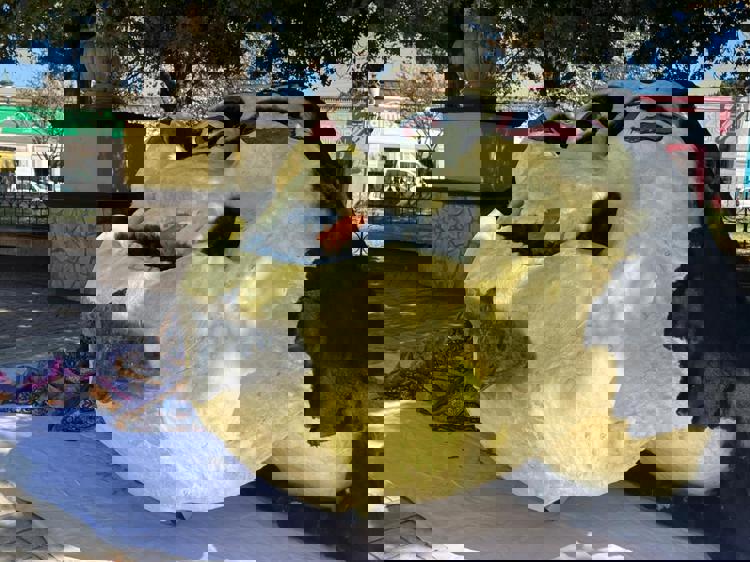 imagen-cuerpo imagen-cuerpo