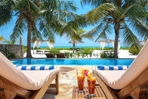 7 actividades que debes hacer si visitas o vives en Baja Califoria Sur 7 actividades que debes hacer si visitas o vives en Baja Califoria Sur