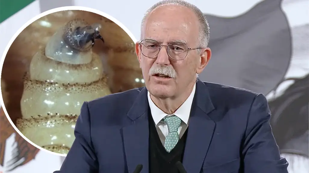 Agricultura descarta fecha para reanudar exportaciones de ganado a EU por gusano barrenador