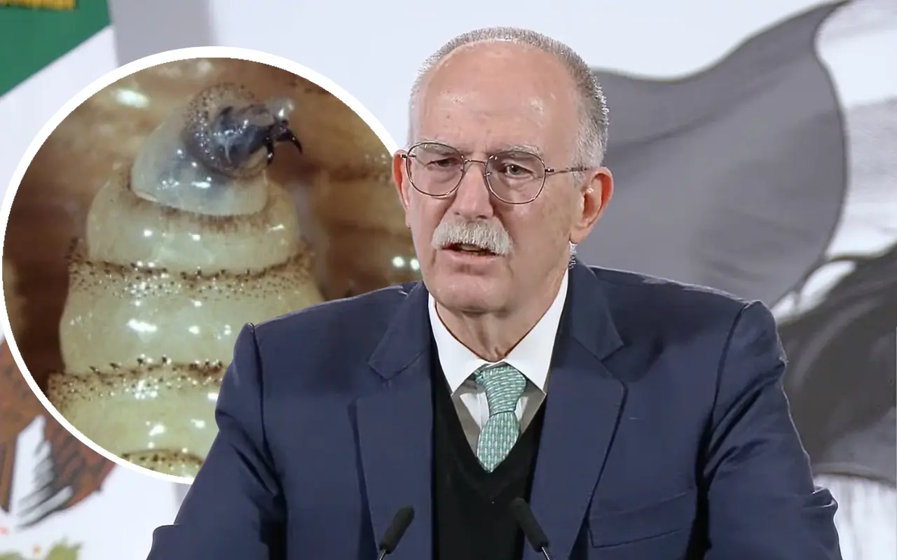 Julio Berdegué y gusano barrenador. Foto: Gobierno de México / Captura de pantalla: YouTube (Claudia Sheinbaum)