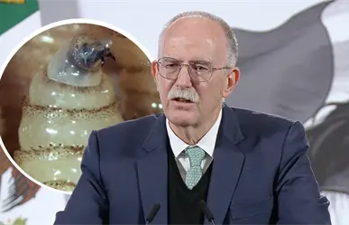 Agricultura descarta fecha para reanudar exportaciones de ganado a EU por gusano barrenador