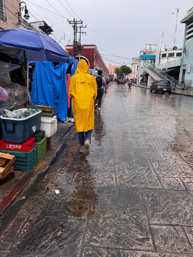 imagen-cuerpo imagen-cuerpo