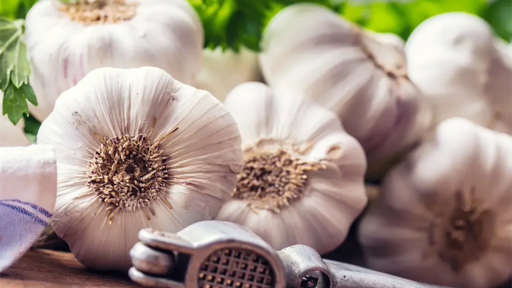 Descubre el ritual con ajo de Mizada Mohamed que desbloquea energía y atrae la suerte