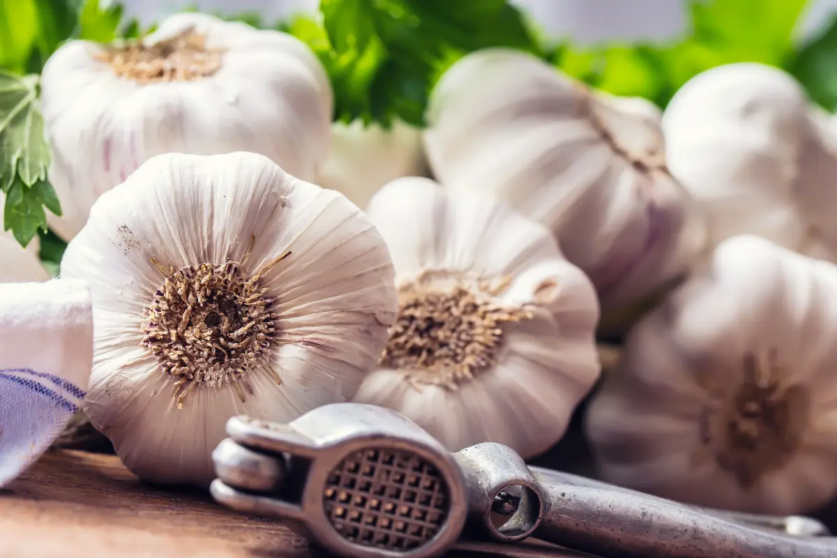 Con un simple ritual de ajo, Mizada Mohamed promete liberar energías negativas y atraer la fortuna a quienes lo realicen. Foto: Canva