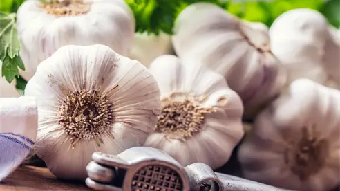 Descubre el ritual con ajo de Mizada Mohamed que desbloquea energía y atrae la suerte Descubre el ritual con ajo de Mizada Mohamed que desbloquea energía y atrae la suerte