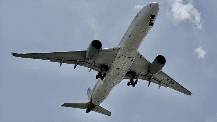 imagen recuadro Foto: Canva