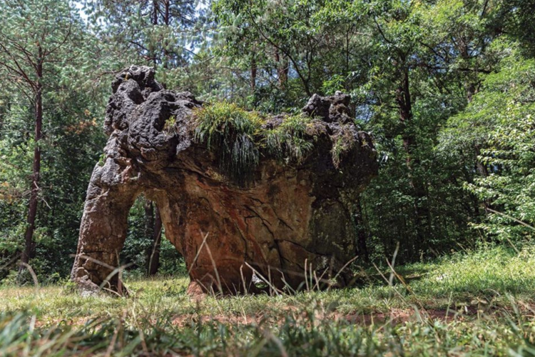 imagen-cuerpo imagen-cuerpo