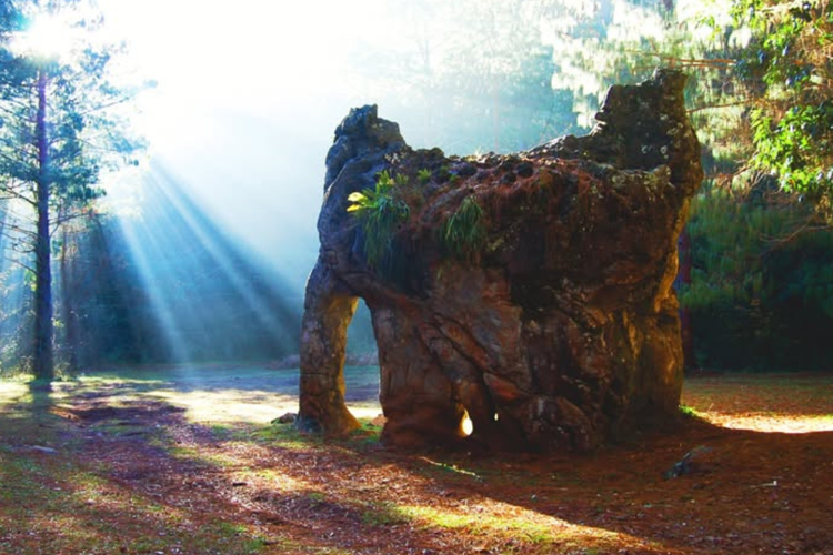 imagen-cuerpo imagen-cuerpo