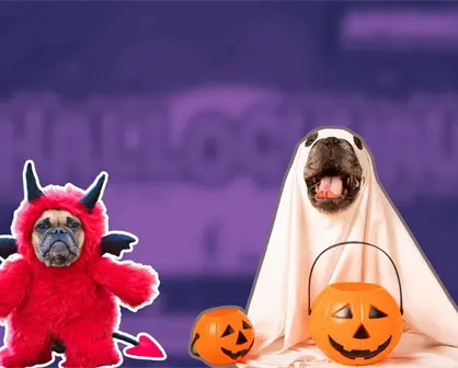 Disfraza a tu lomito y vive la noche más perrorrífica en Apodaca