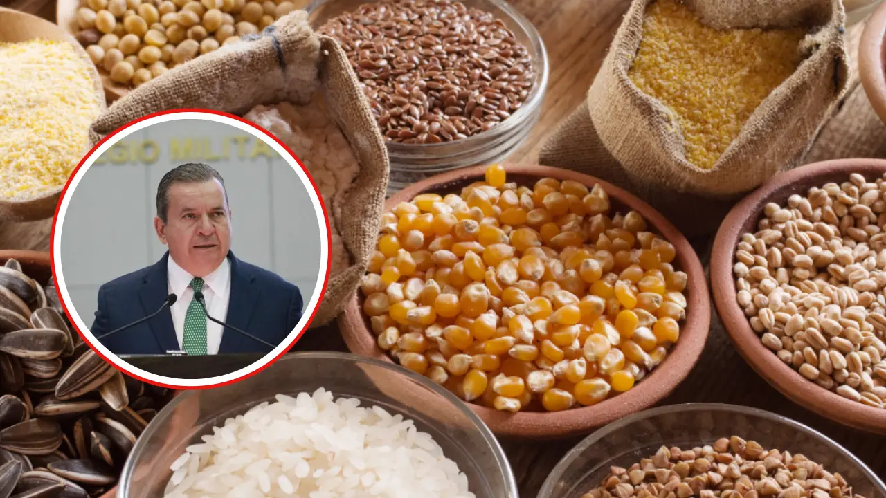 Busca replantear la política agropecuaria y regular el ingreso de granos del exterior mediante impuestos | Foto: Ramón Sánchez