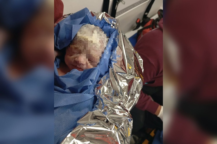 imagen-cuerpo imagen-cuerpo