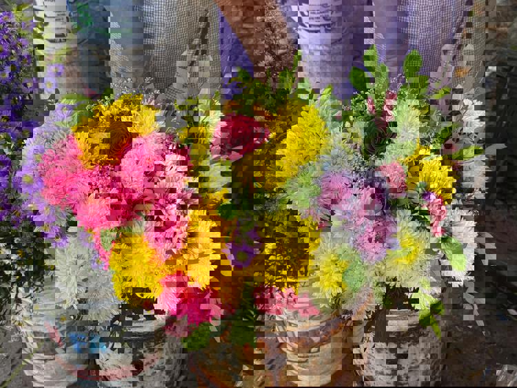 imagen-cuerpo imagen-cuerpo