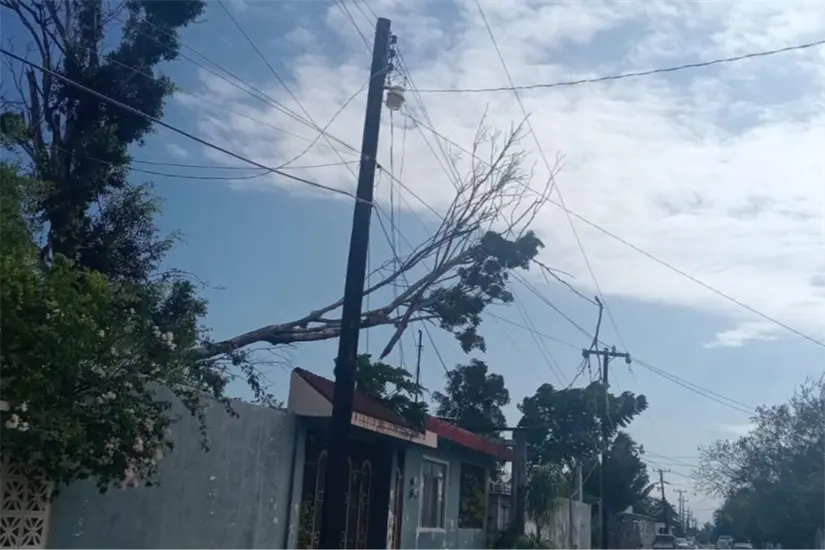 imagen recuadro La Comisión Federal de Electricidad (CFE) informó que miles de usuarios resultaron afectados por interrupciones en el suministro eléctrico en Tampico, El Mante y Ciudad Victoria. Foto: Axel Hassel
