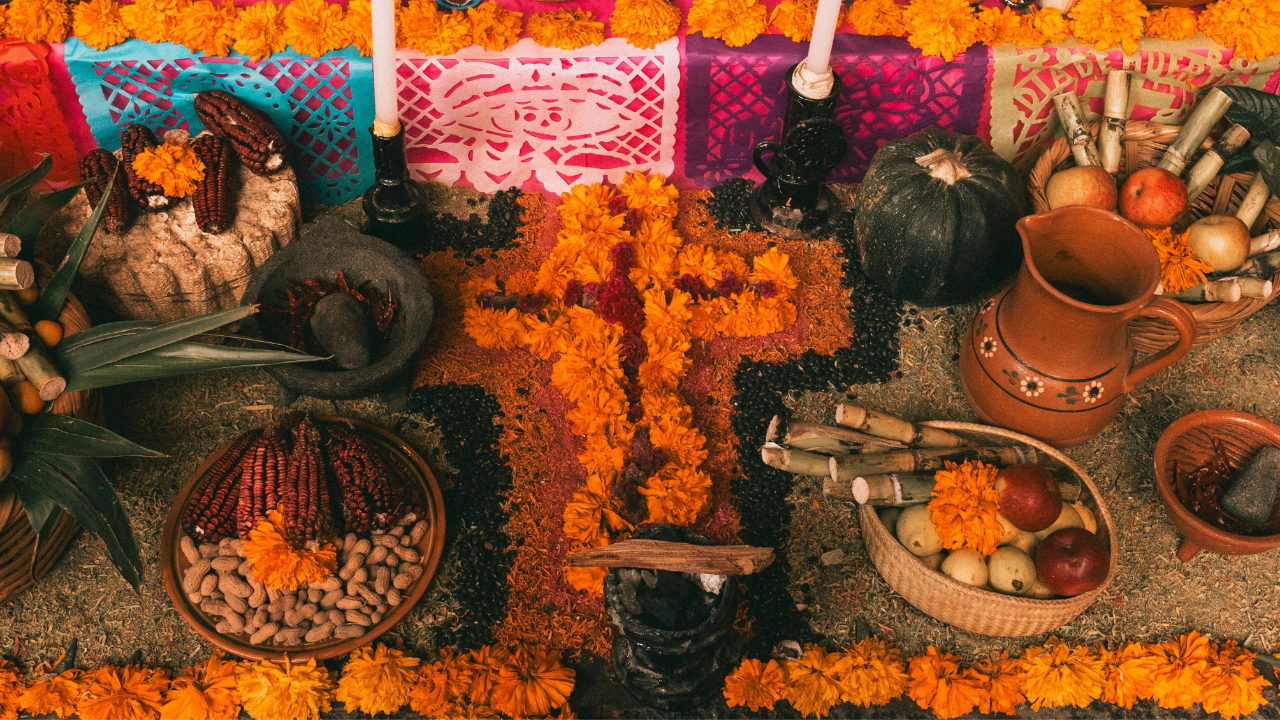 imagen-cuerpo imagen-cuerpo