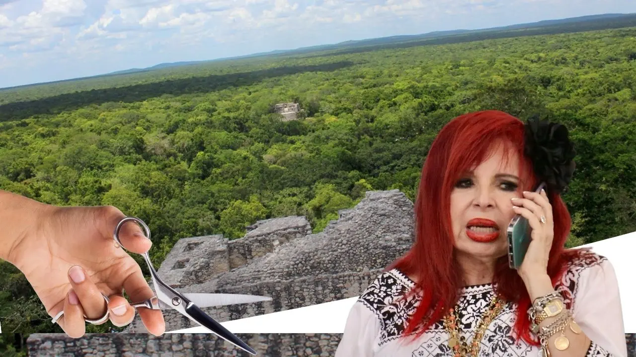 ¿Por qué Campeche quedó fuera del litigio por Calakmul? Foto: Canva