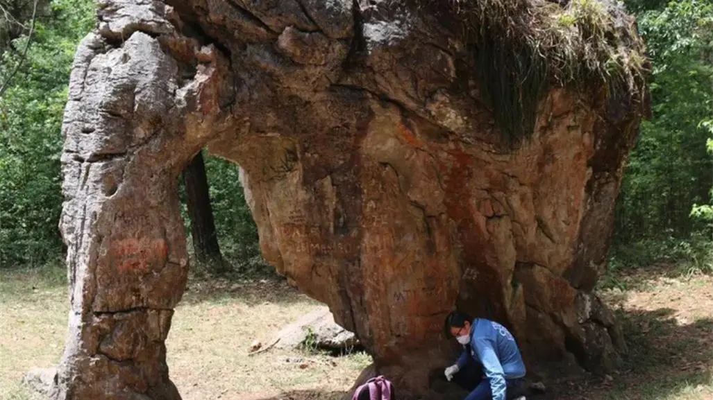 El elefante de piedra en Tamaulipas: un viaje 65 millones de años atrás en la Tierra