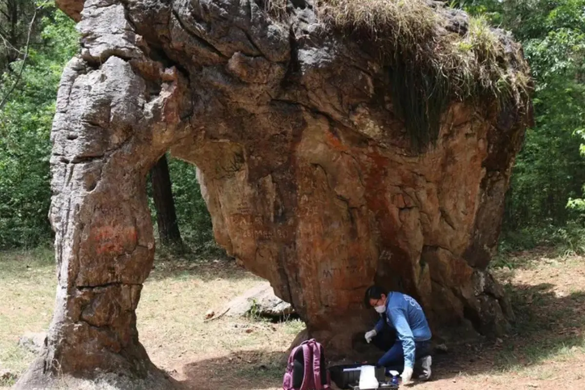 El elefante de piedra en Tamaulipas: un viaje 65 millones atrás en la Tierra