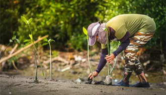 Cómo participar en la jornada de reforestación de la UAdeC en la Sierra de Arteaga 