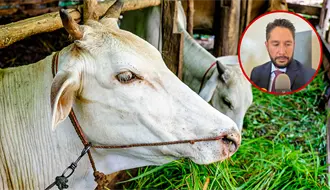 Los 3 sectores productivos de Durango que, según SEDECO, requieren protección económica urgente