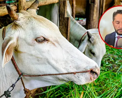 Los 3 sectores productivos de Durango que, según SEDECO, requieren protección económica urgente