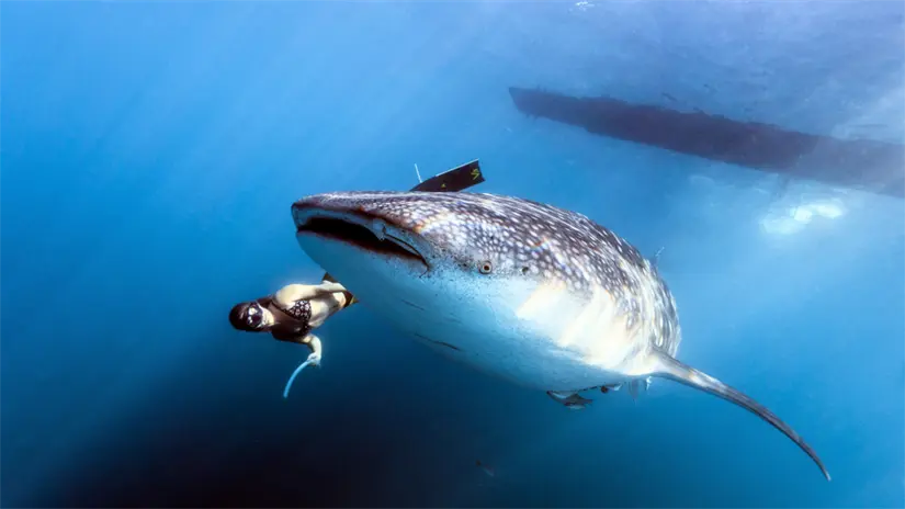 imagen recuadro Foto: Canva