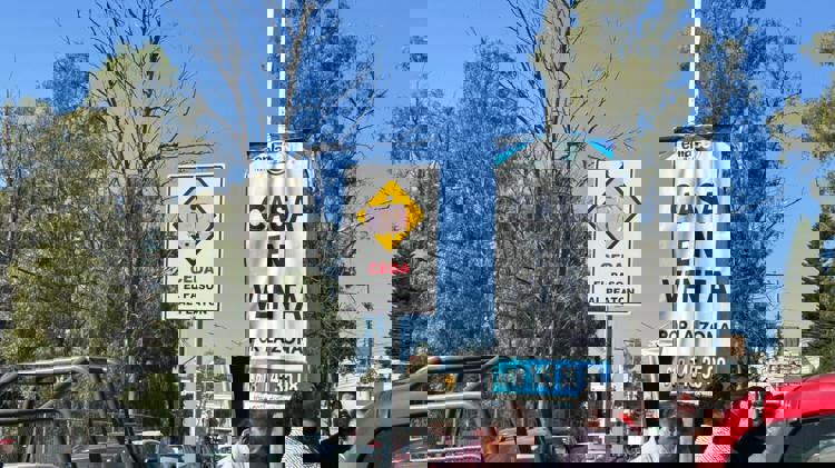 imagen-cuerpo imagen-cuerpo