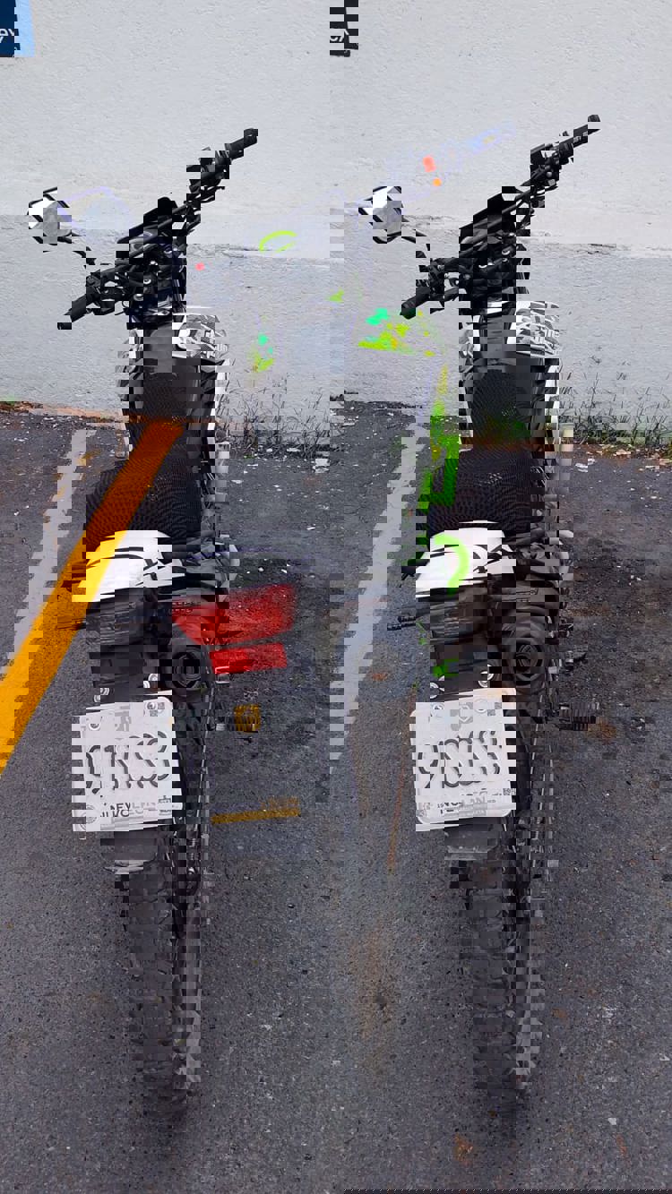 imagen-cuerpo imagen-cuerpo