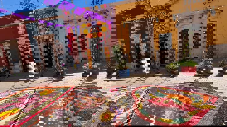 imagen-cuerpo imagen-cuerpo