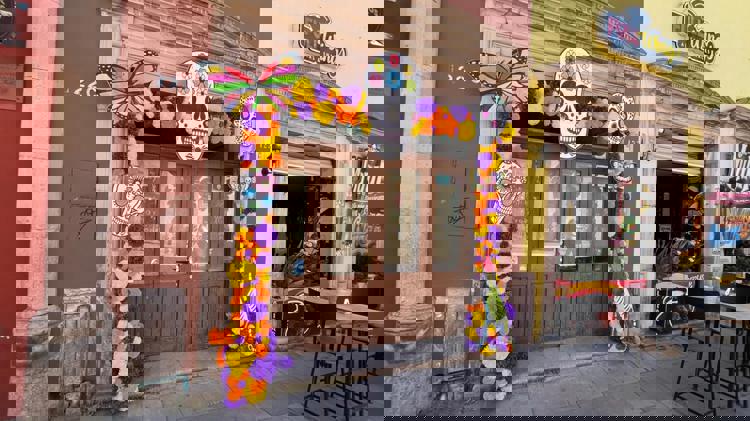 imagen-cuerpo imagen-cuerpo