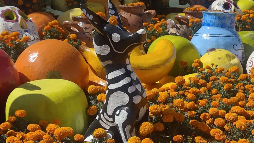 imagen recuadro Ofenda del Zócalo CDMX. Foto: Laura Ávila