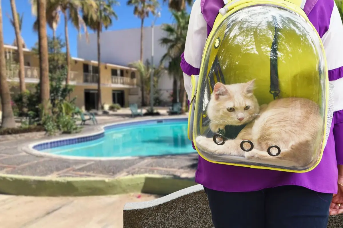 Foto: Trip Advisor | Foto: Biblioteca Canva